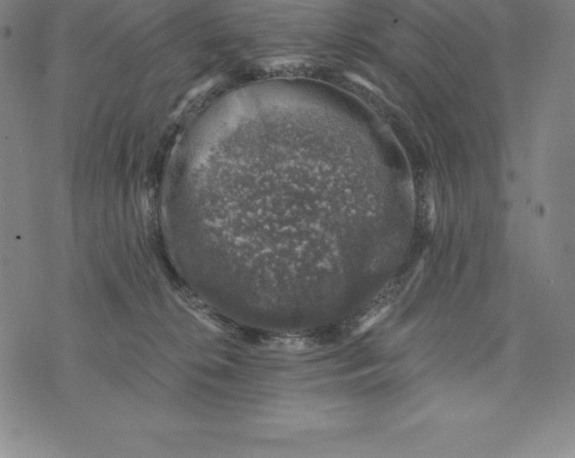 X0000074040276200609111746