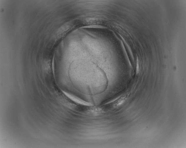 X0000074040278200609111746