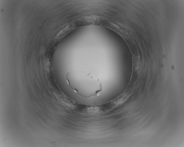 X0000074040279200609111746