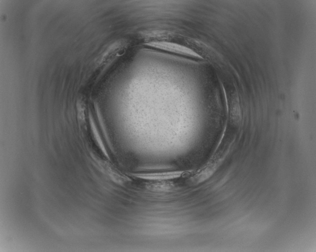 X0000074040282200609111747