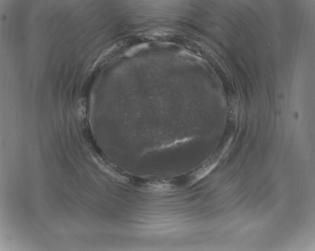 X0000074040284200609111747