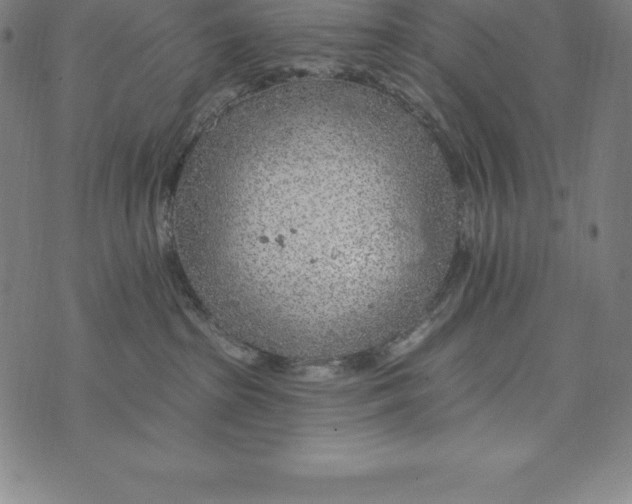 X0000074040285200609111747