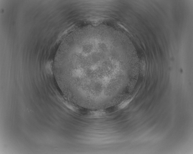 X0000074040286200609111747