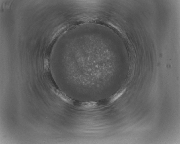 X0000074040288200609111747