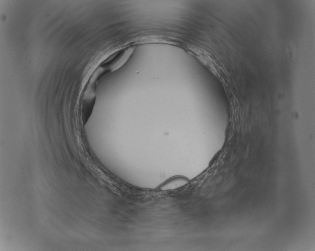 X0000074040289200609111746