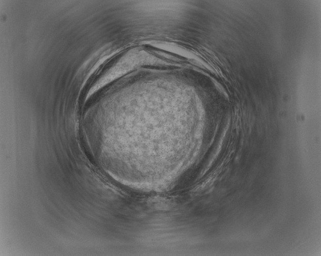 X0000074040290200609111746