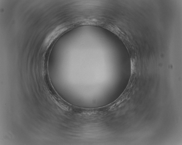 X0000074040291200609111746