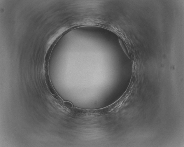 X0000074040292200609111746