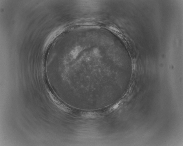 X0000074040293200609111746