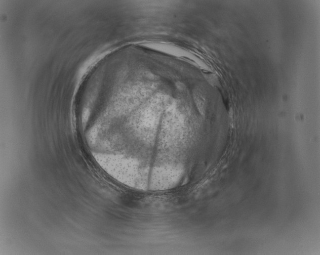 X0000074040294200609111746