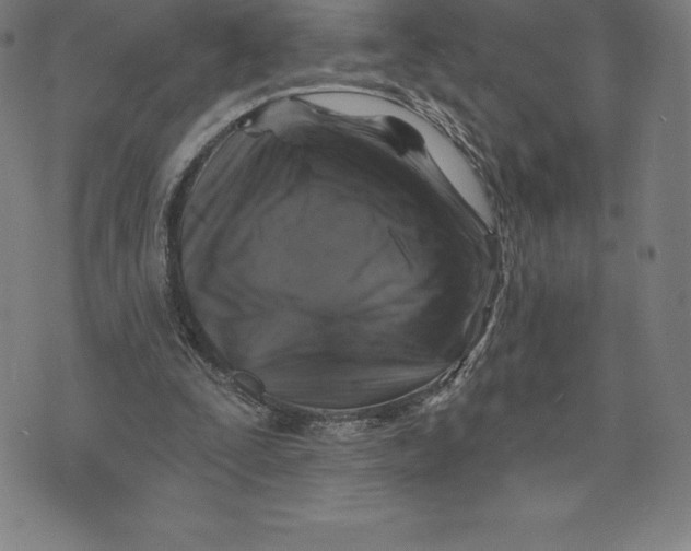 X0000074040295200609111746