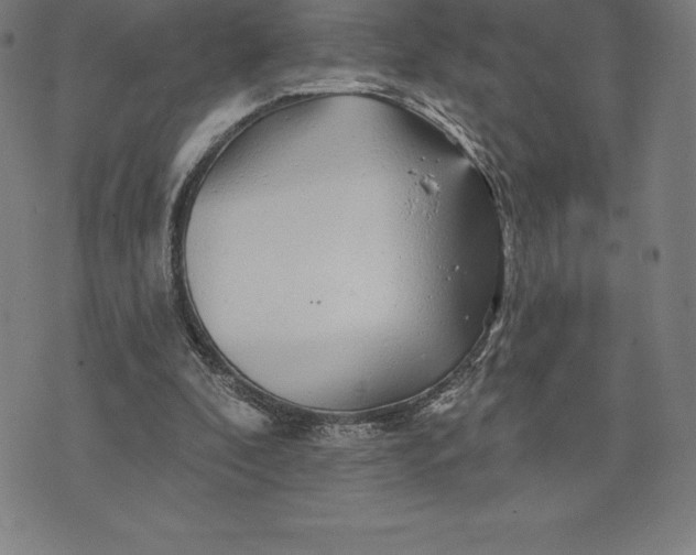 X0000074040296200609111746