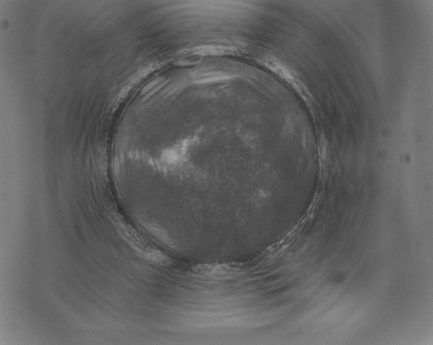 X0000074040297200609111746