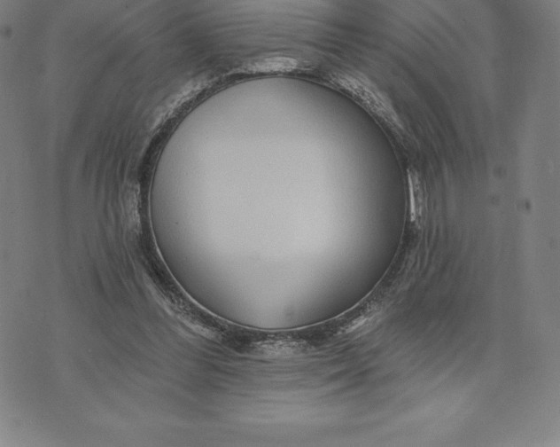 X0000074040300200609111746