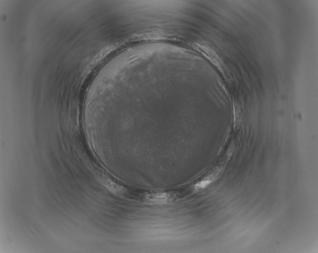 X0000074040301200609111746