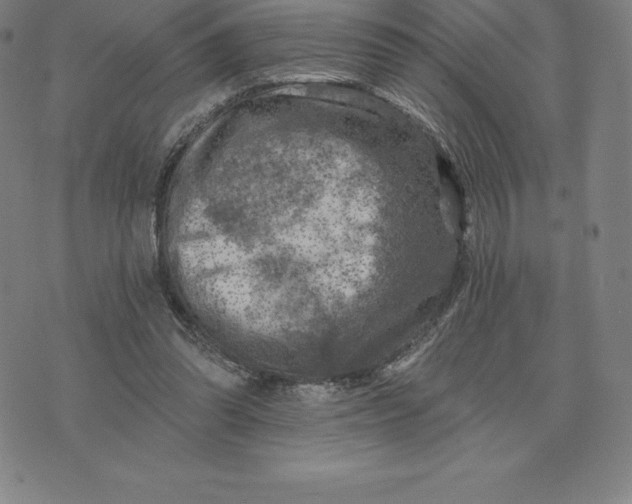 X0000074040302200609111746