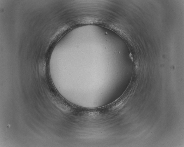 X0000074040304200609111746