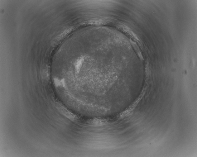 X0000074040305200609111746