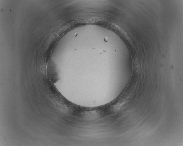 X0000074040307200609111746