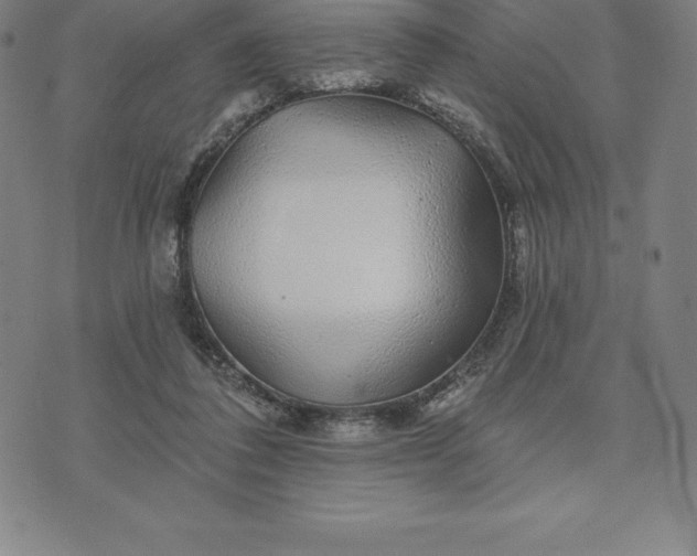 X0000074040308200609111746