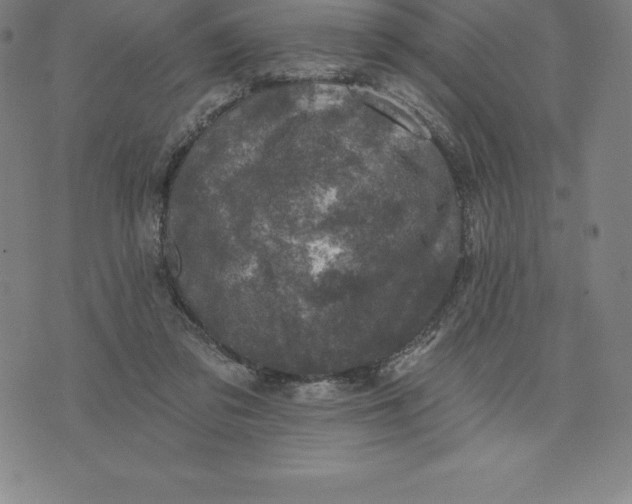 X0000074040309200609111746