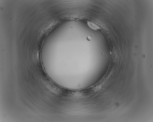 X0000074040310200609111746