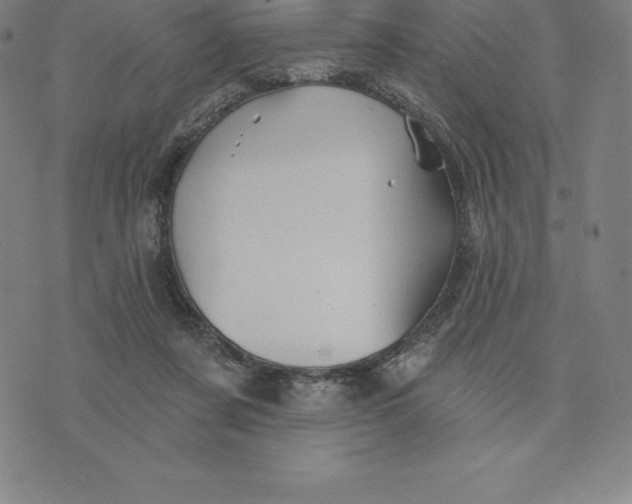 X0000074040311200609111745