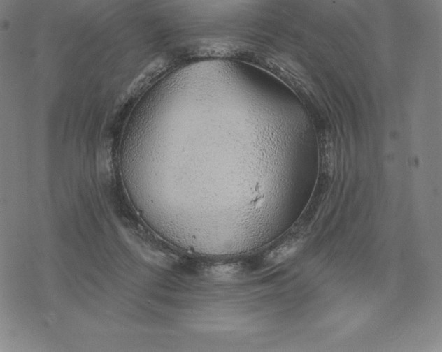 X0000074040312200609111745