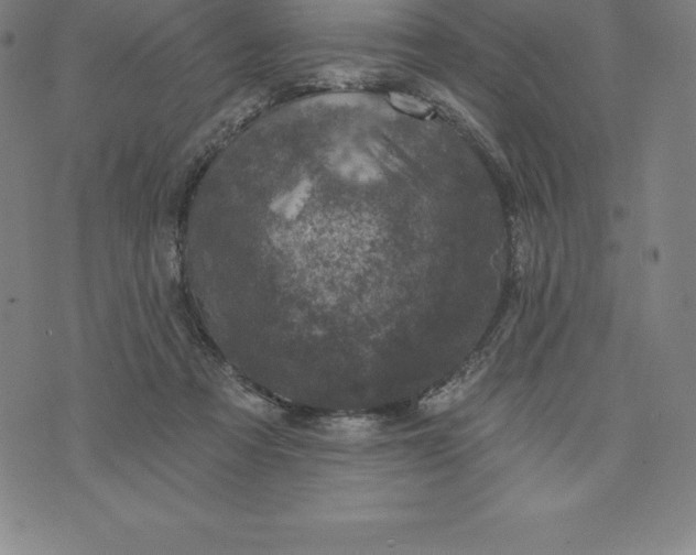 X0000074040313200609111745