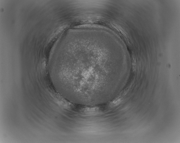 X0000074040314200609111745