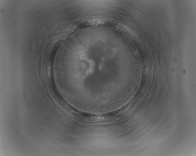 X0000074040315200609111745