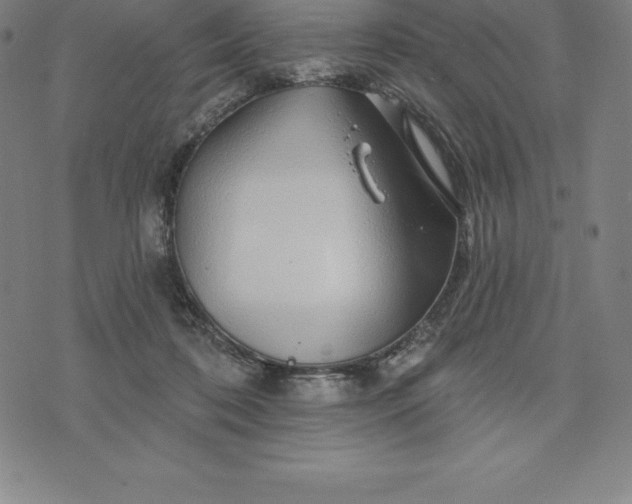 X0000074040316200609111745