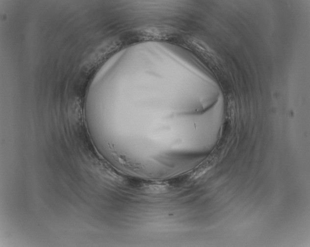 X0000074040318200609111745