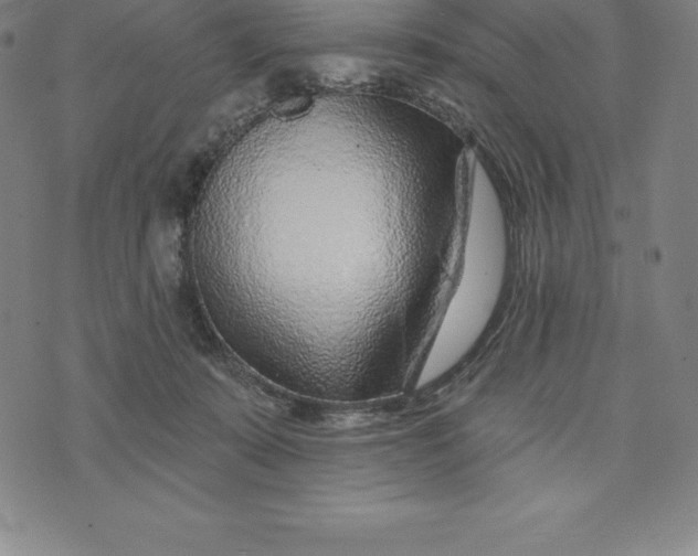 X0000074040319200609111745