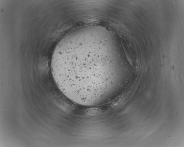 X0000074040320200609111745