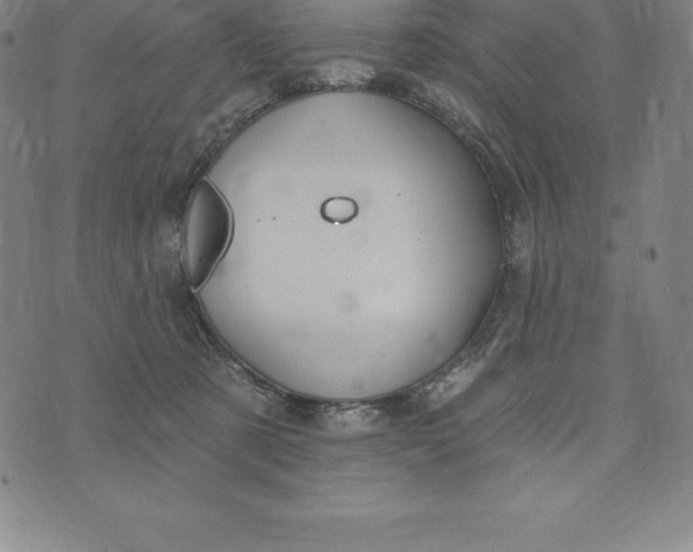 X0000074040321200609111745