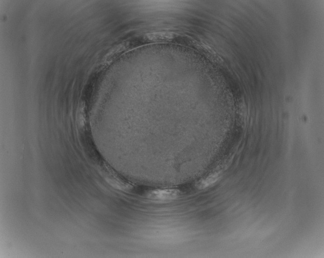 X0000074040323200609111745