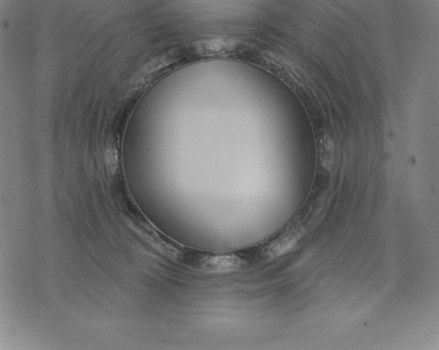 X0000074040324200609111745