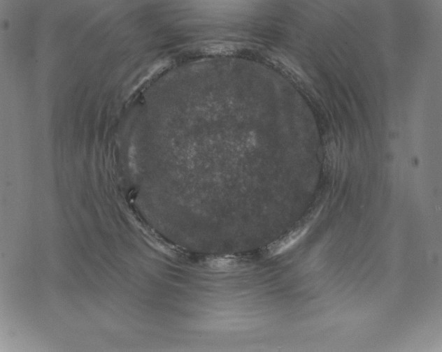 X0000074040325200609111745