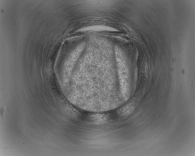 X0000074040326200609111745