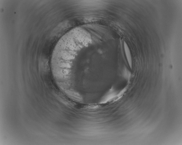 X0000074040327200609111745