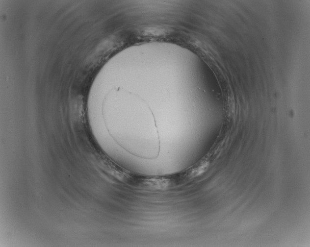 X0000074040328200609111745