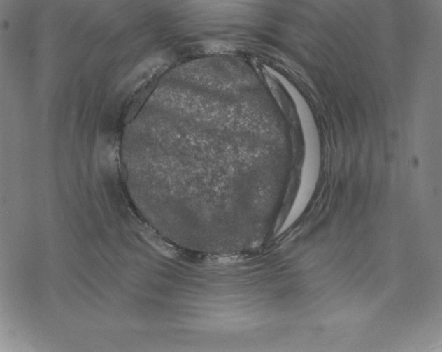 X0000074040329200609111745