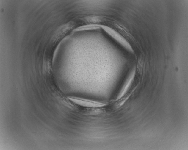 X0000074040330200609111745