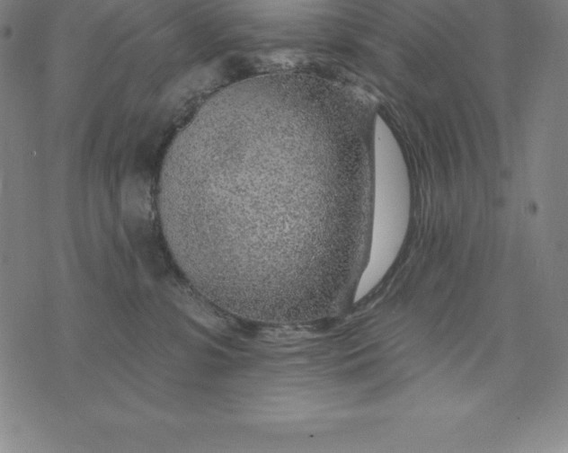 X0000074040331200609111745