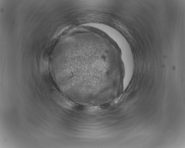 X0000074040333200609111745