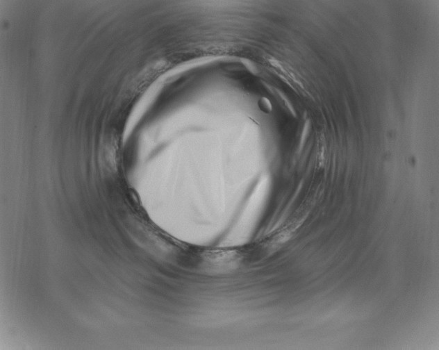 X0000074040334200609111745