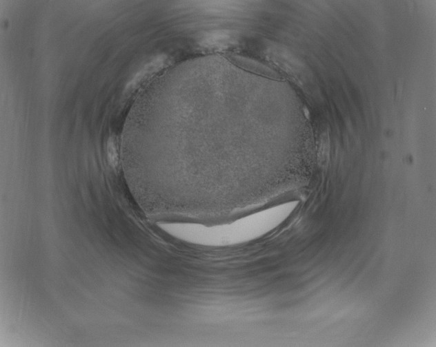 X0000074040335200609111745