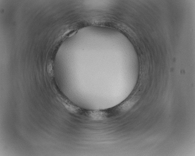 X0000074040336200609111745