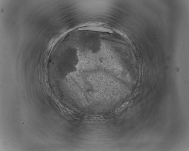 X0000074040337200609111744